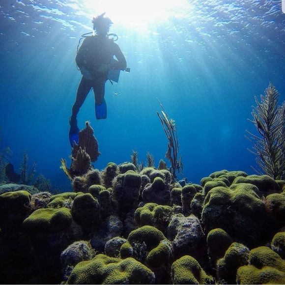 Meet your Posher, Colin - Picture 1 of 1